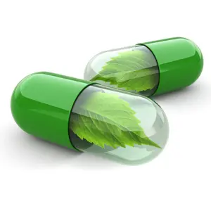 1747209251_Herbal Medicine.webp